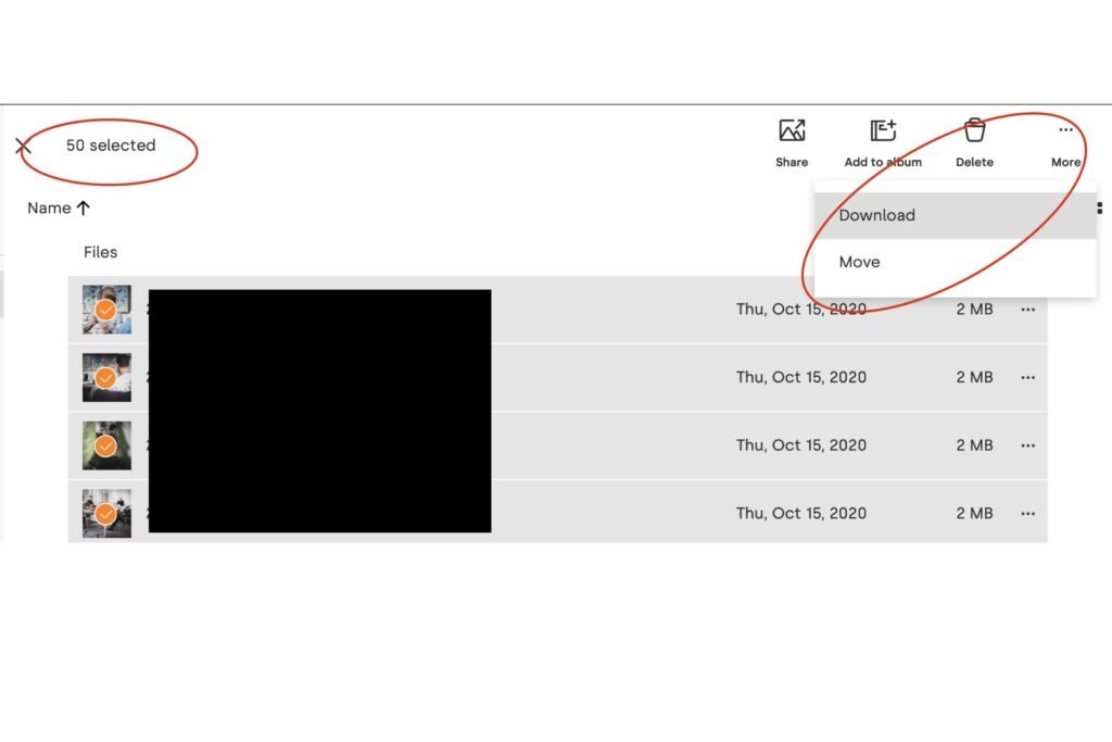 How to Download Multiple Files or Folders